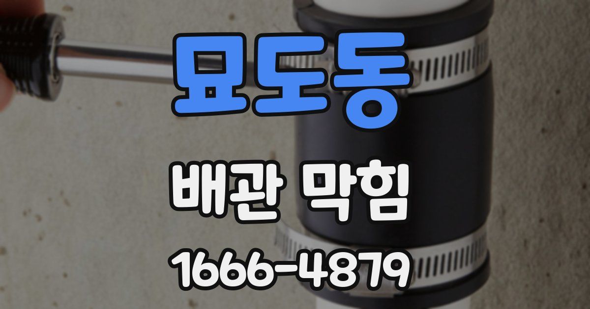 묘도동 배관 막힘