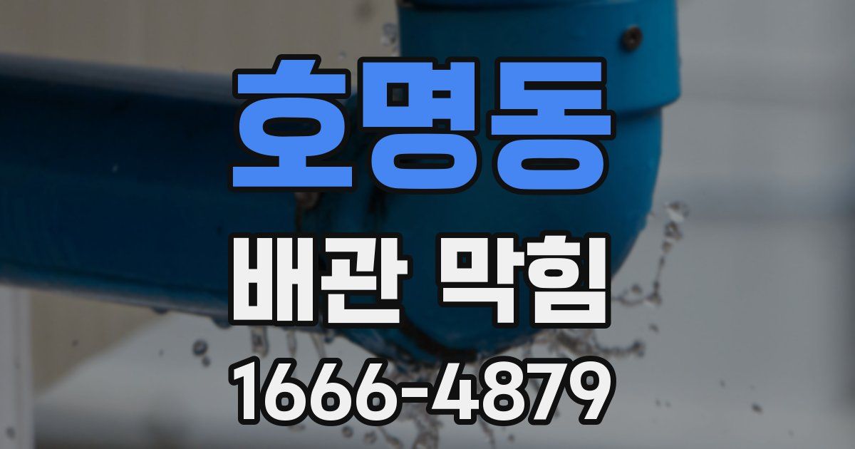 호명동 배관 막힘
