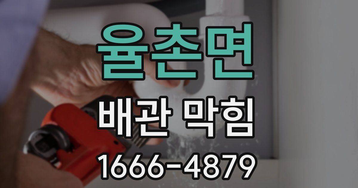 율촌면 배관 막힘