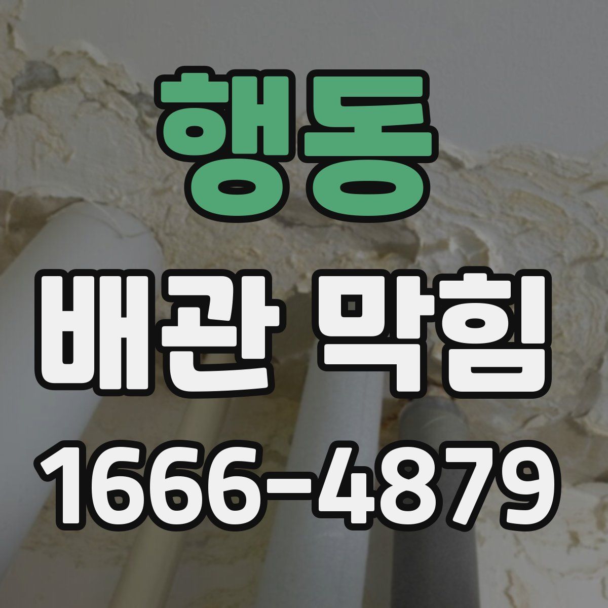 행동 배관 막힘