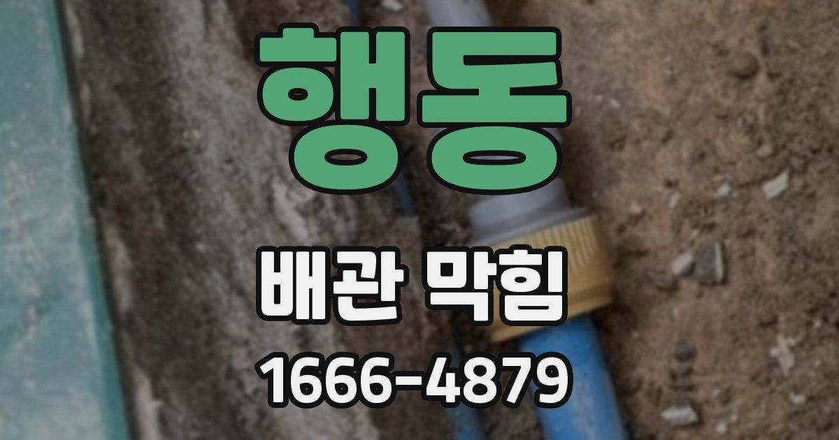 행동 배관 막힘