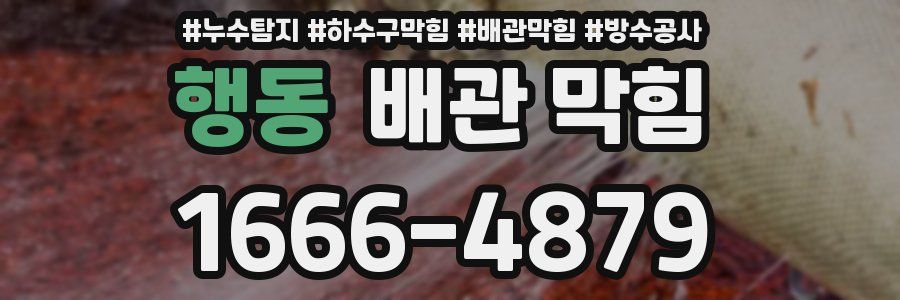 행동 배관 막힘