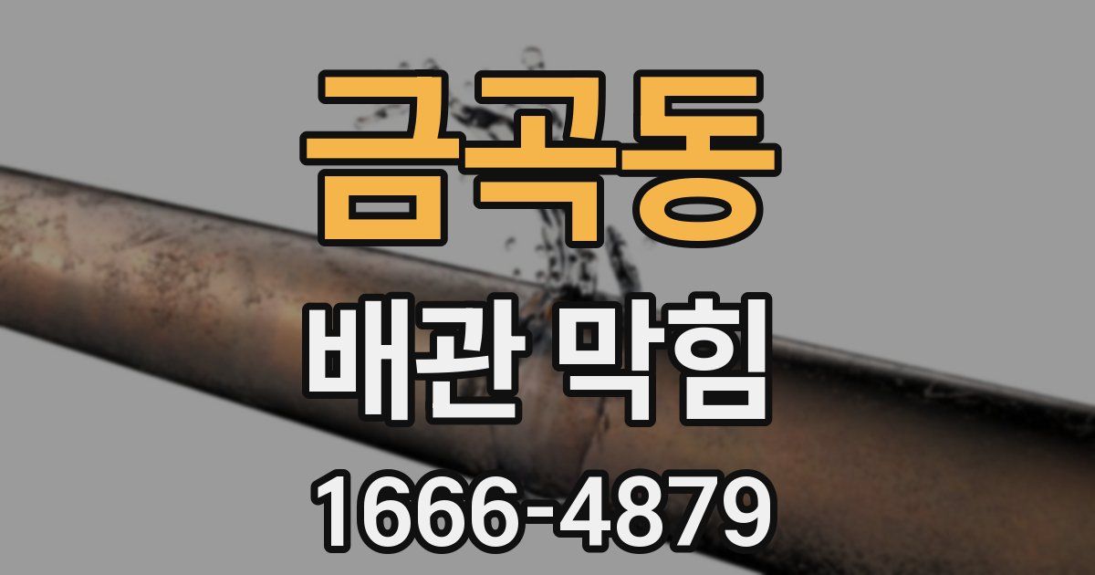 금곡동 배관 막힘