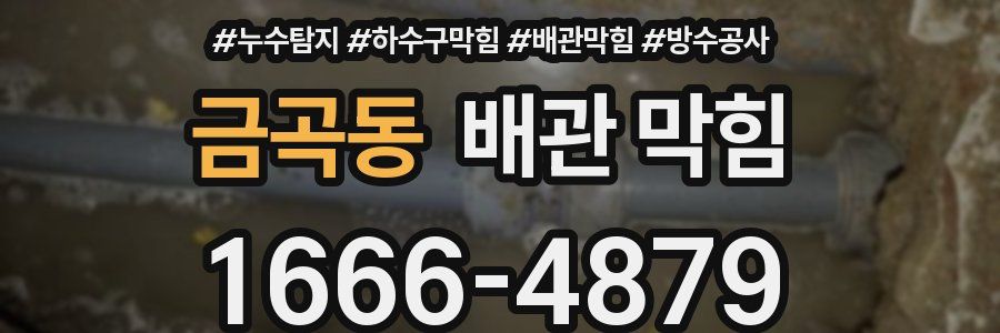 금곡동 배관 막힘