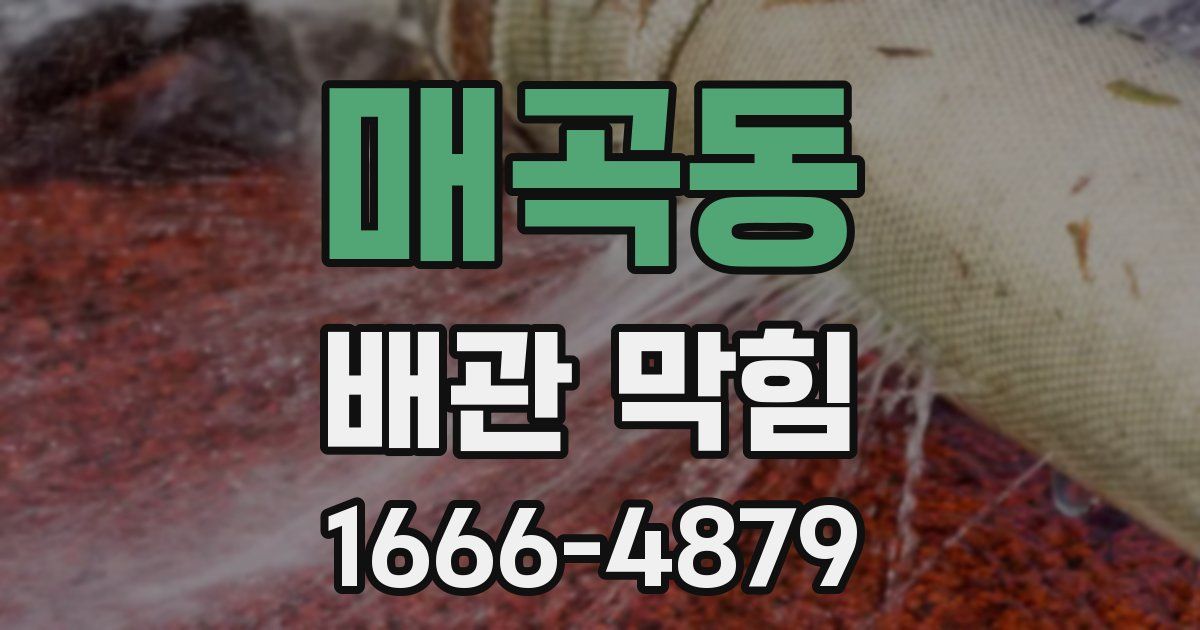 매곡동 배관 막힘