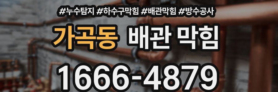 가곡동 배관 막힘