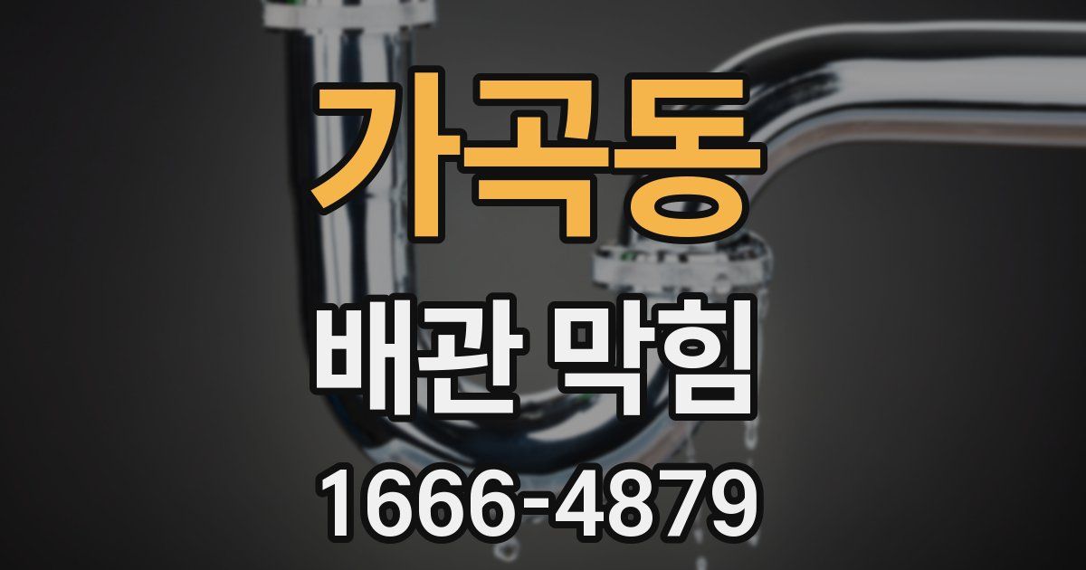 가곡동 배관 막힘
