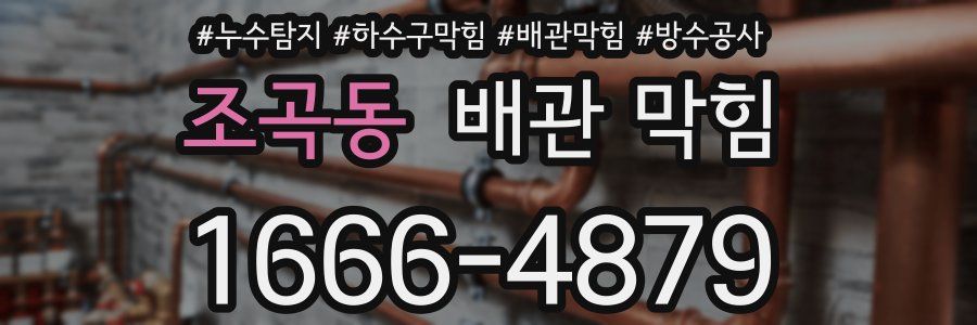 조곡동 배관 막힘