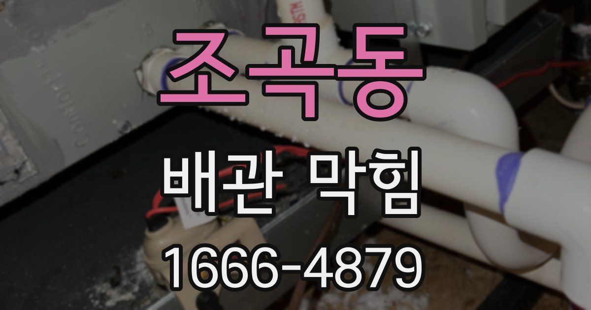 조곡동 배관 막힘