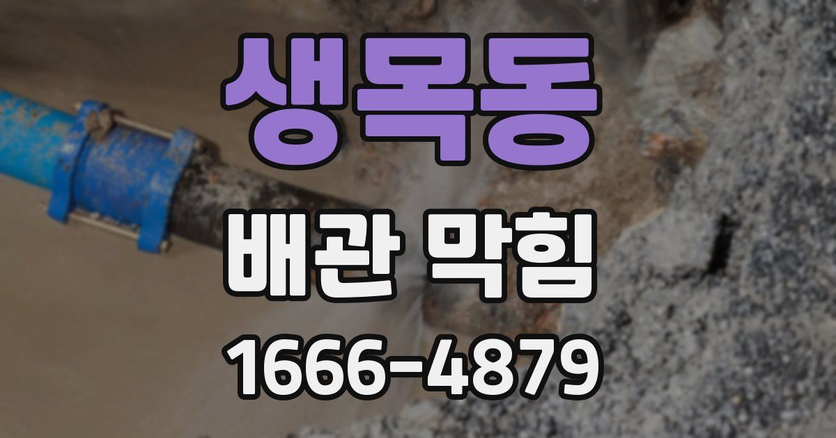 생목동 배관 막힘