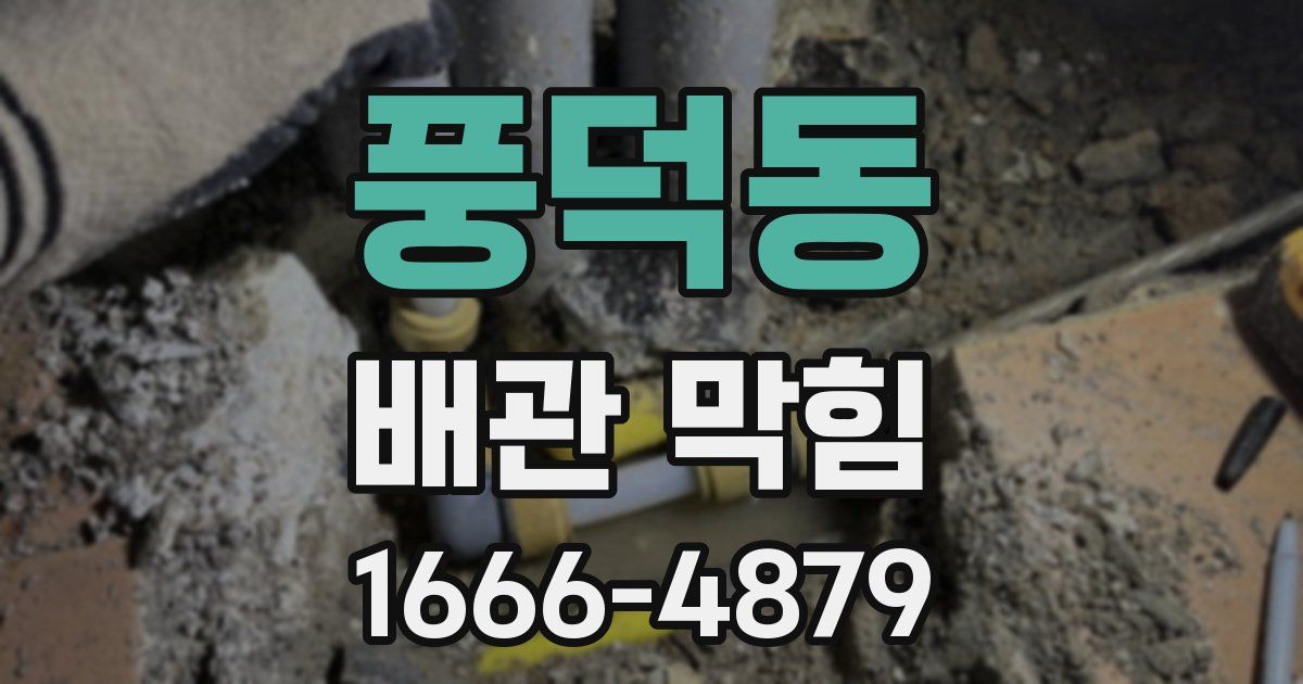 풍덕동 배관 막힘