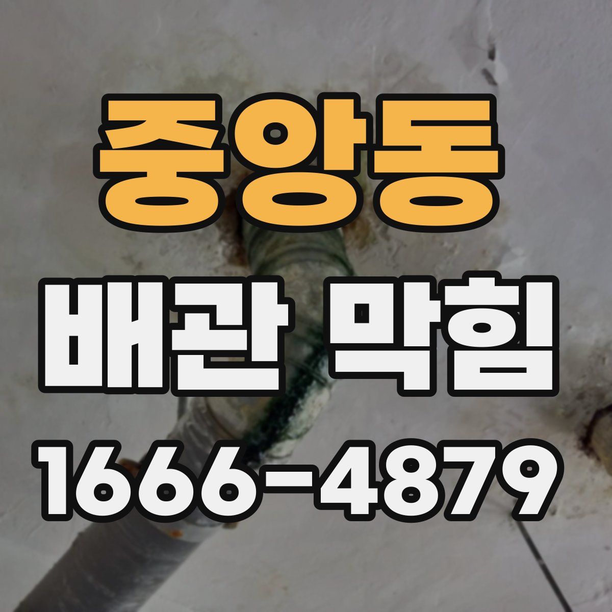 중앙동 배관 막힘