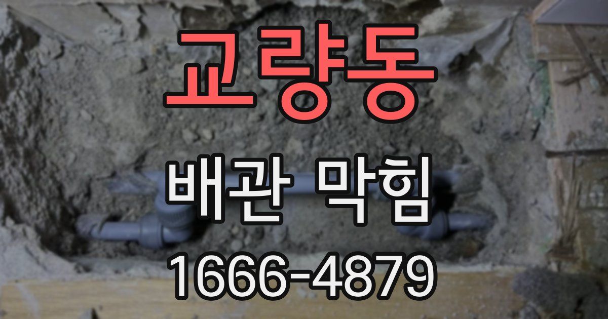 교량동 배관 막힘