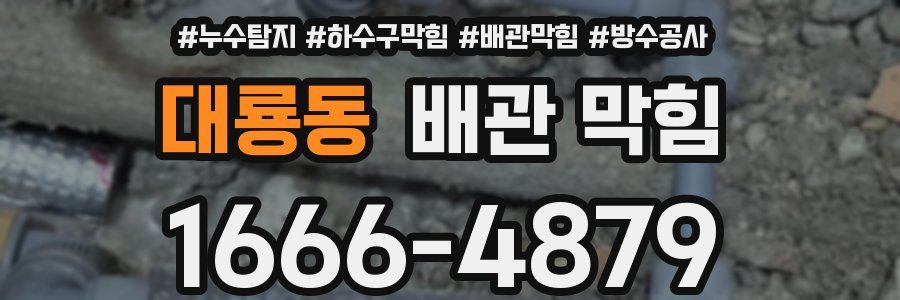대룡동 배관 막힘