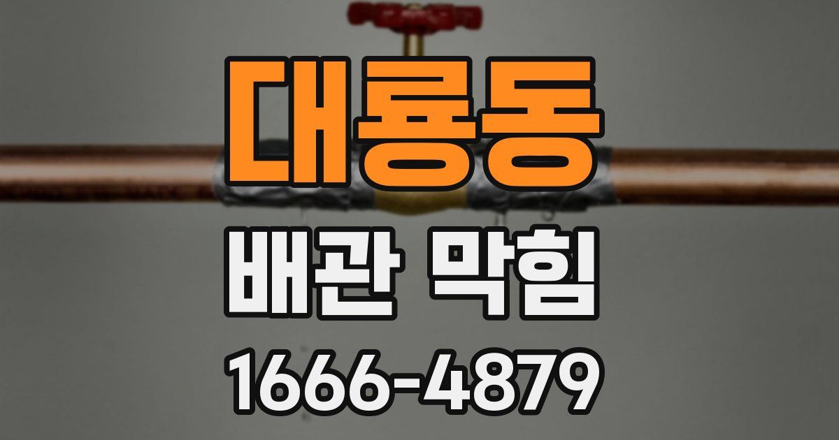 대룡동 배관 막힘