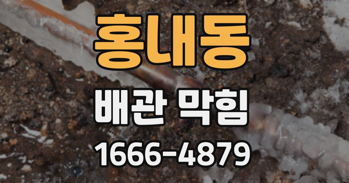 홍내동 배관 막힘