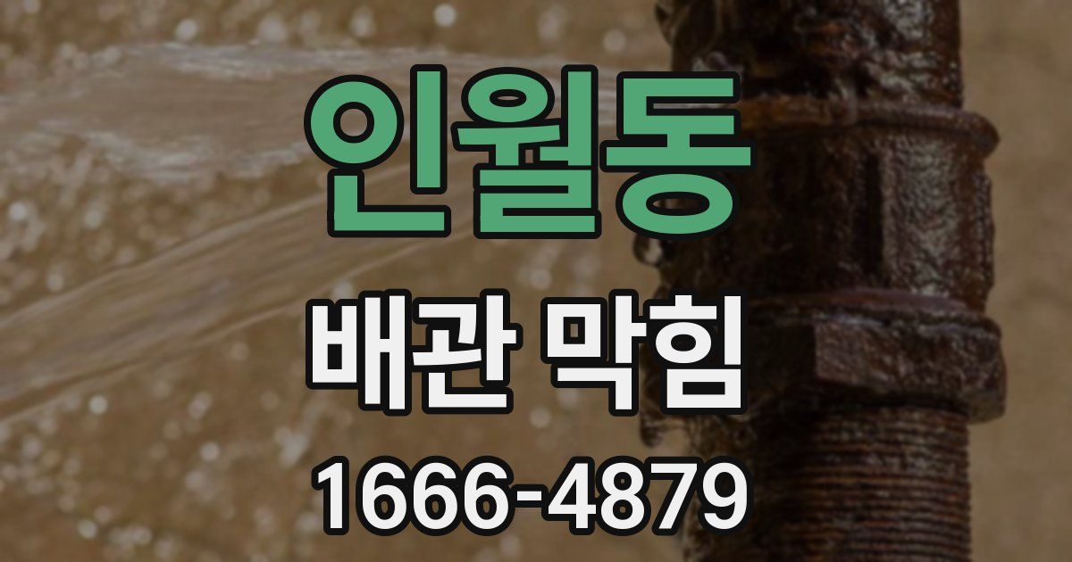 인월동 배관 막힘