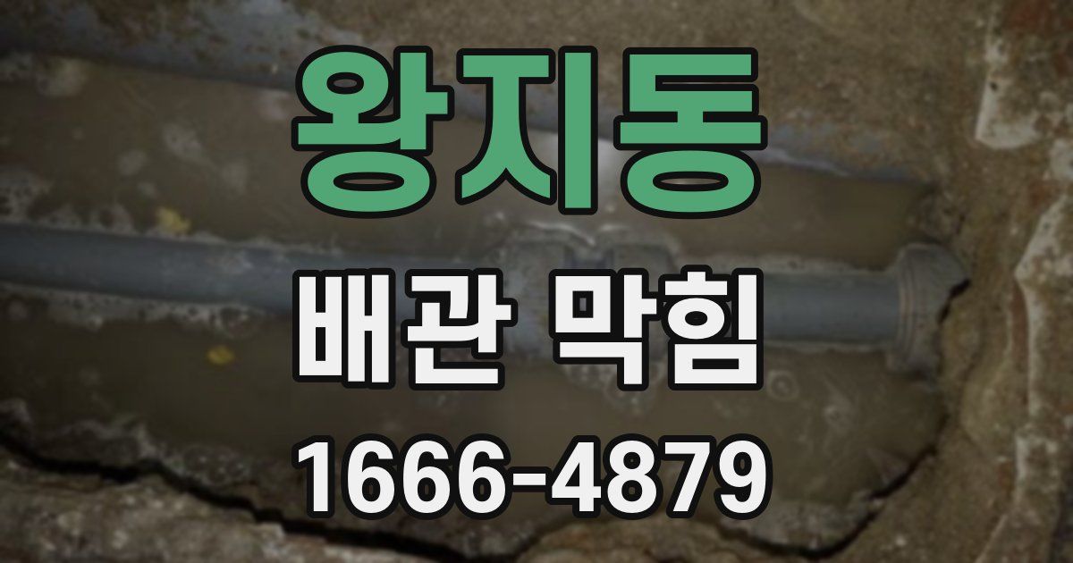 왕지동 배관 막힘