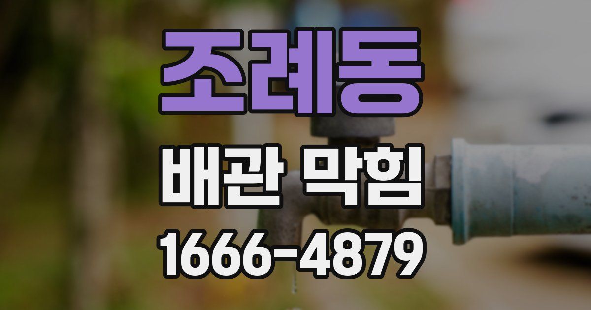 조례동 배관 막힘