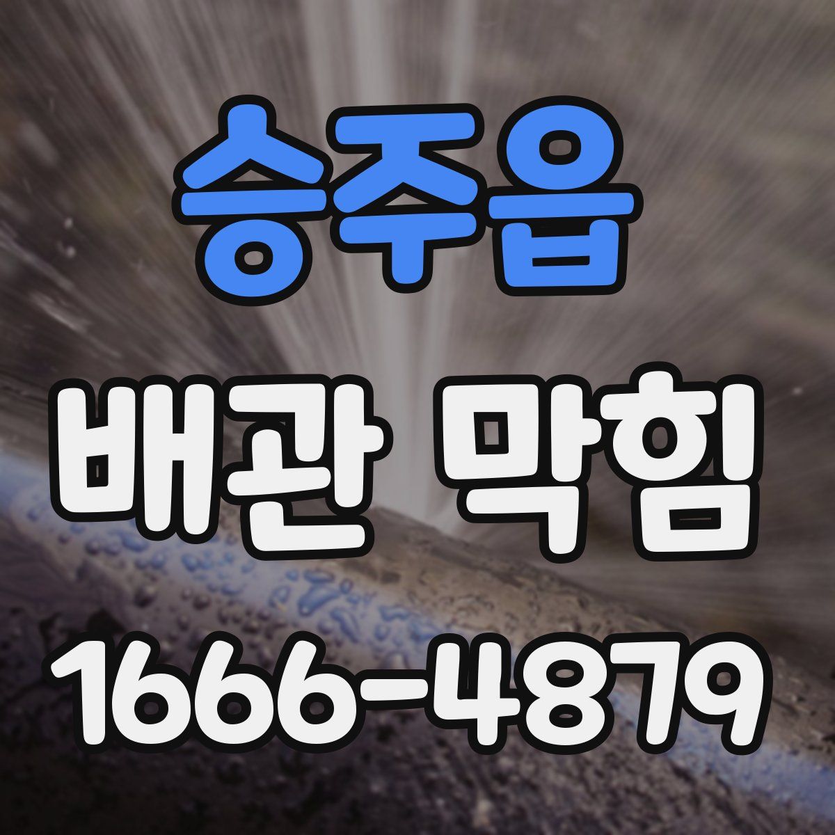 승주읍 배관 막힘
