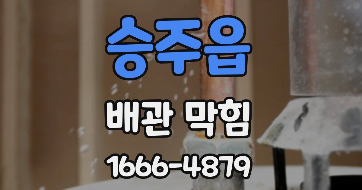 승주읍 배관 막힘