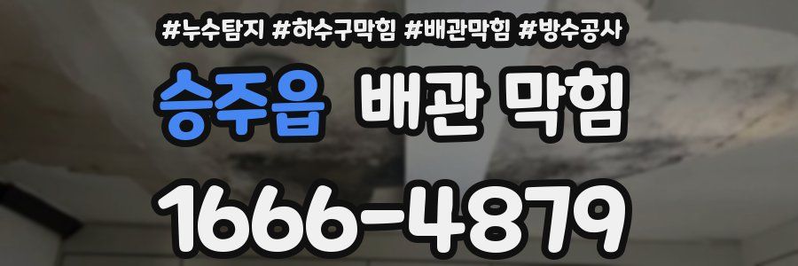 승주읍 배관 막힘