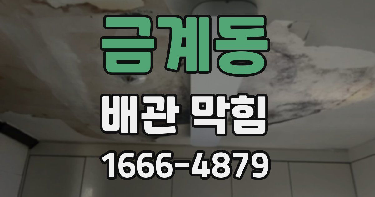 금계동 배관 막힘