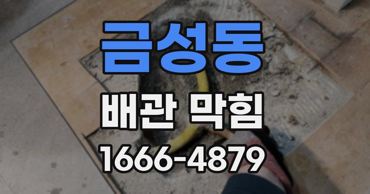 금성동 배관 막힘