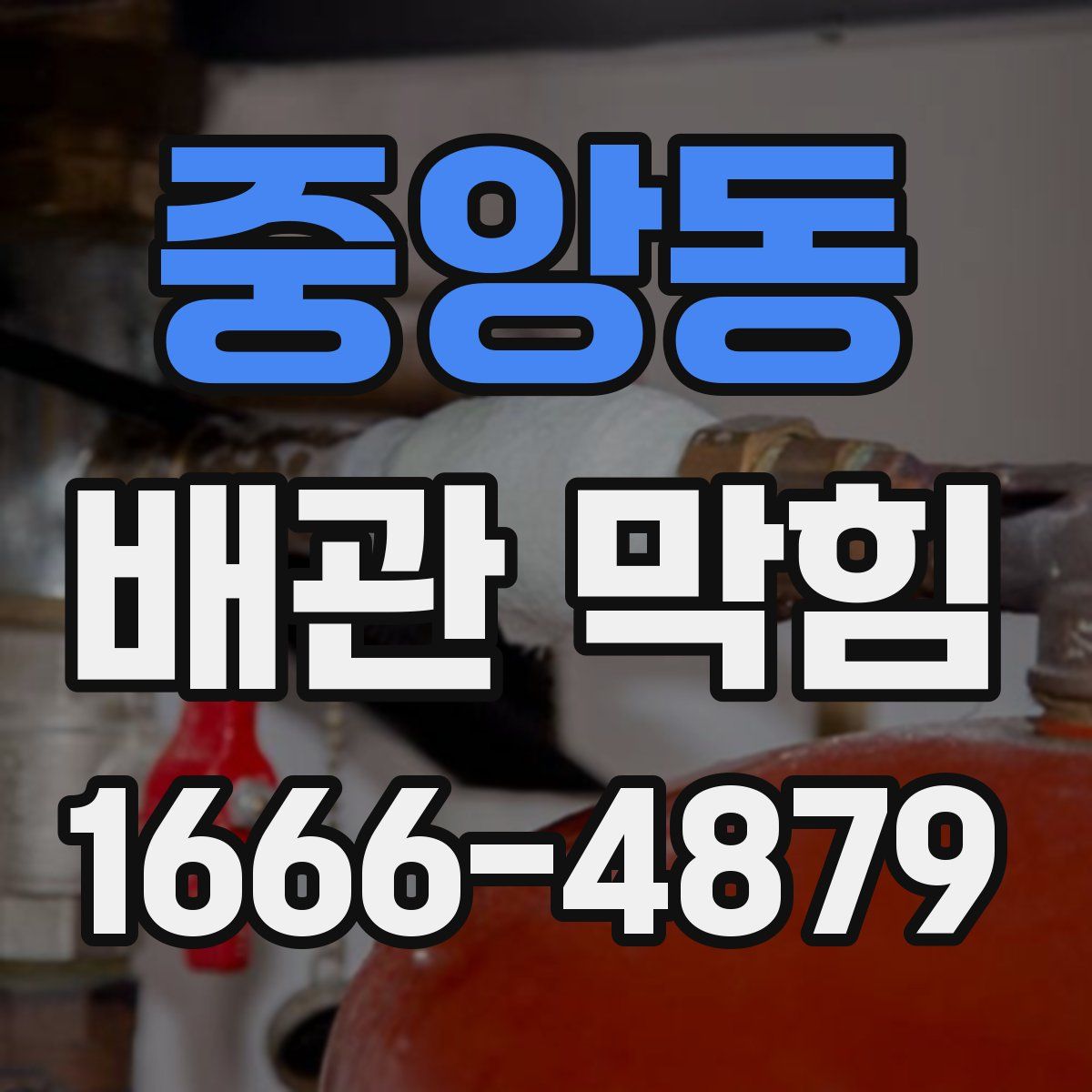 중앙동 배관 막힘