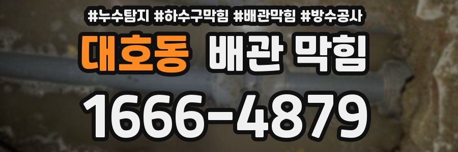 대호동 배관 막힘