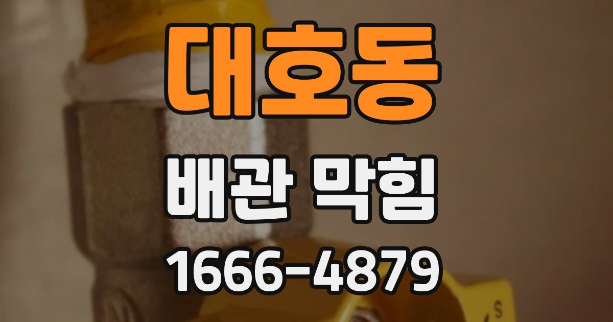 대호동 배관 막힘