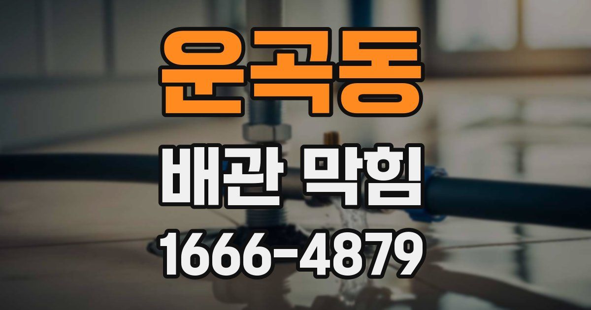 운곡동 배관 막힘