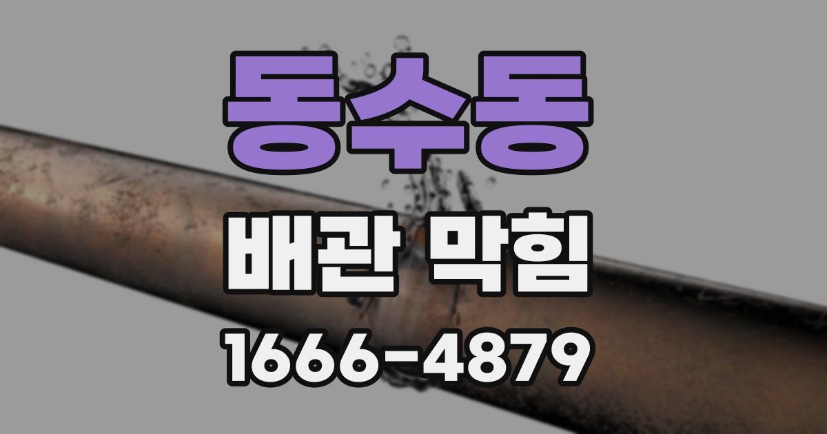 동수동 배관 막힘