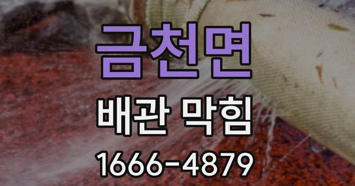 금천면 배관 막힘