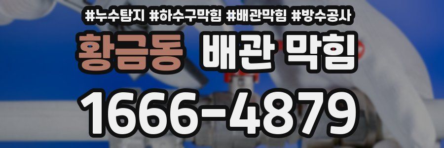 황금동 배관 막힘