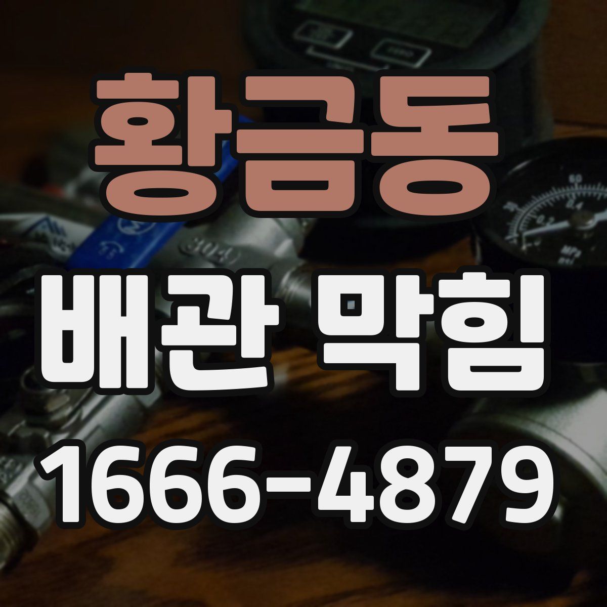 황금동 배관 막힘