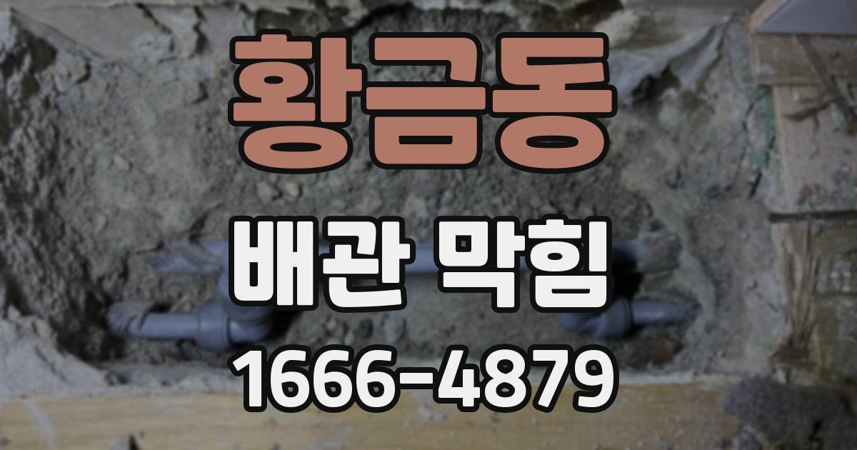 황금동 배관 막힘