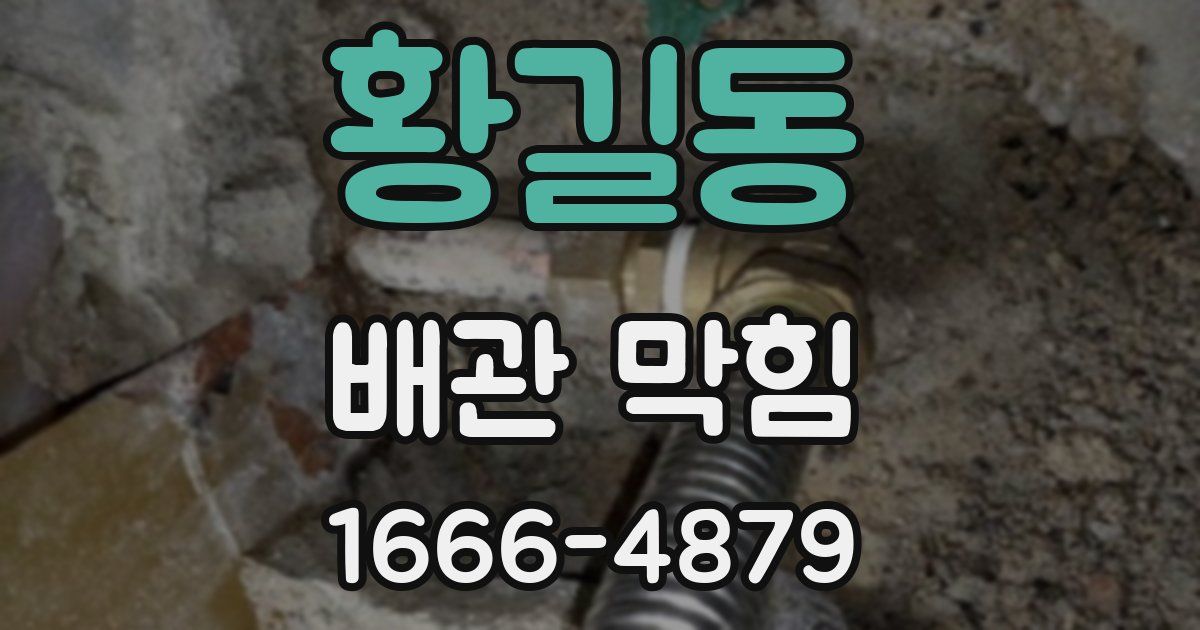 황길동 배관 막힘