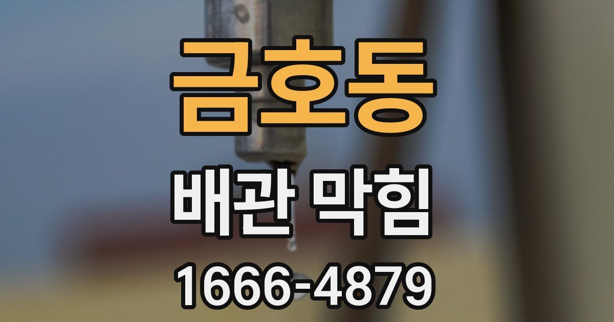 금호동 배관 막힘