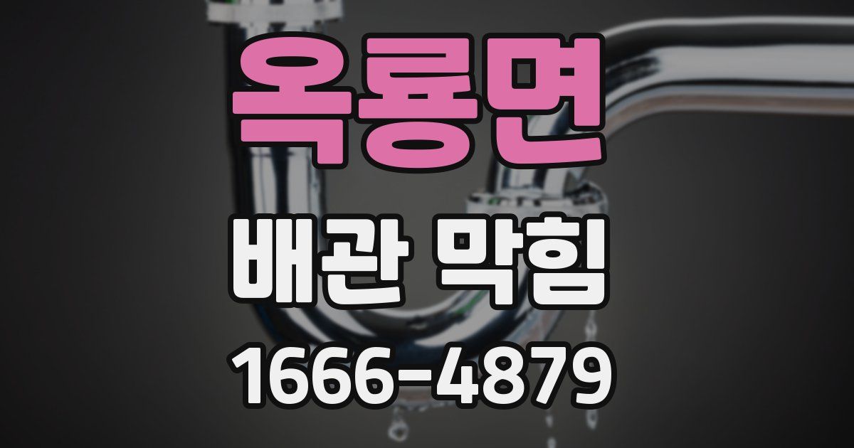옥룡면 배관 막힘