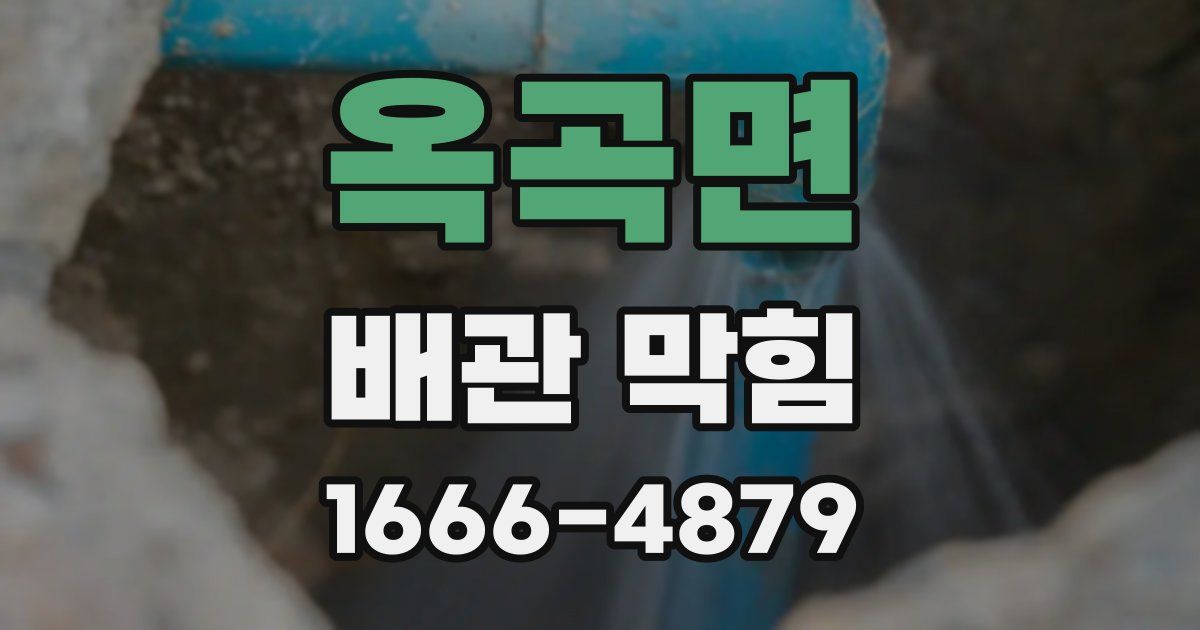 옥곡면 배관 막힘