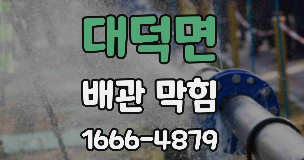 대덕면 배관 막힘