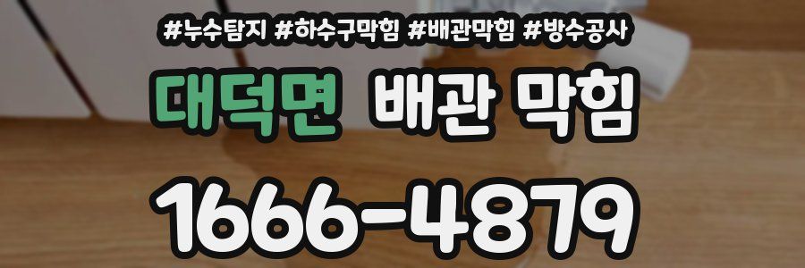 대덕면 배관 막힘