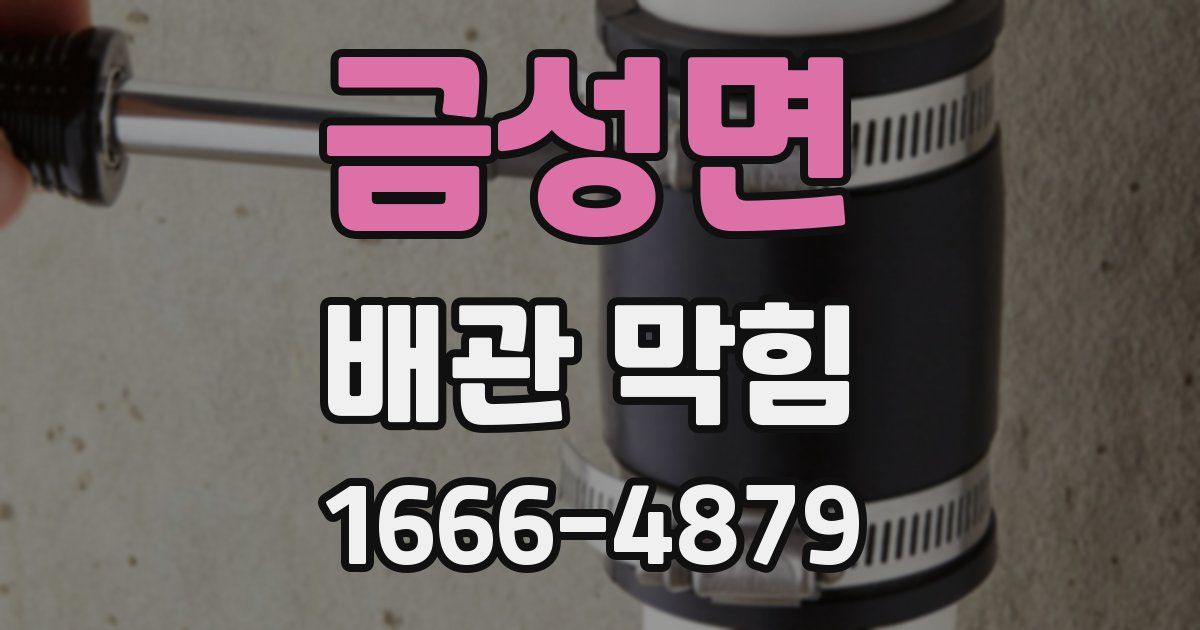 금성면 배관 막힘