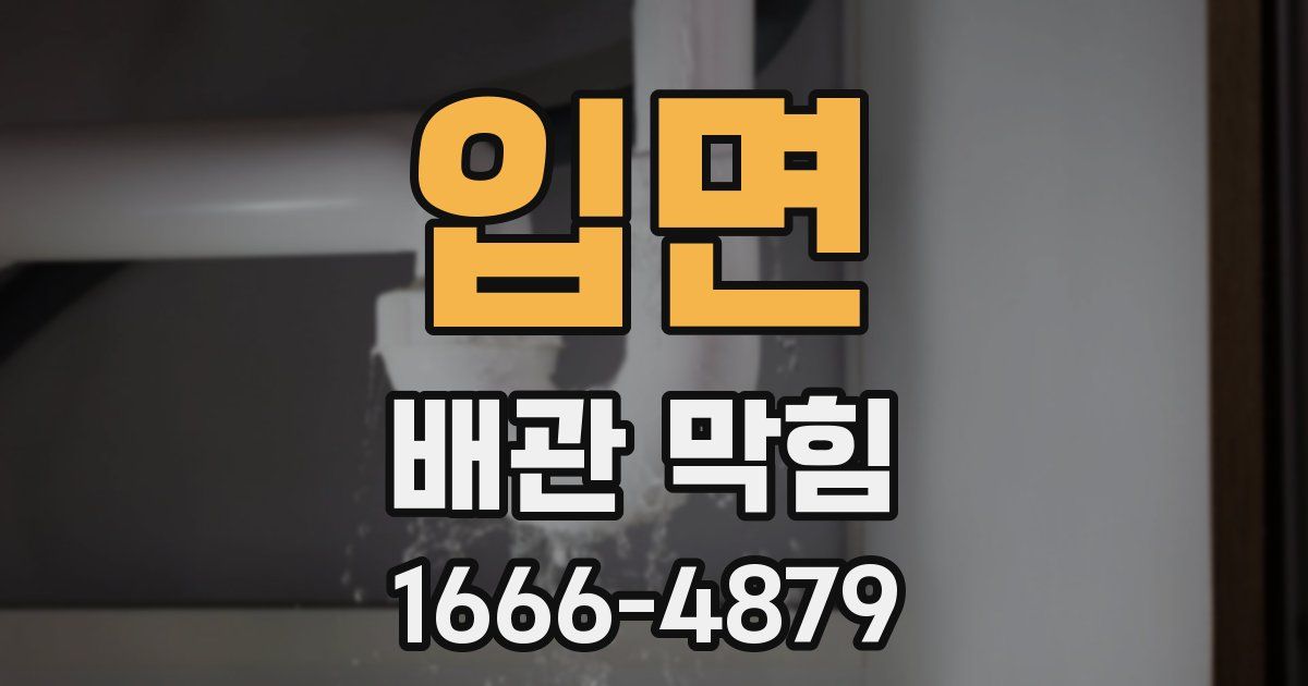 입면 배관 막힘