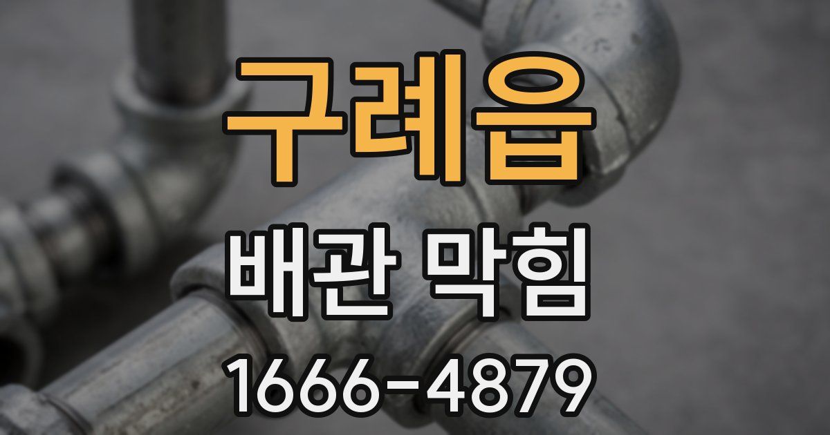 구례읍 배관 막힘