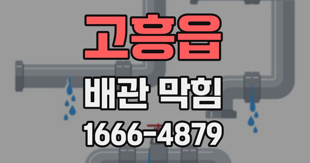 고흥읍 배관 막힘