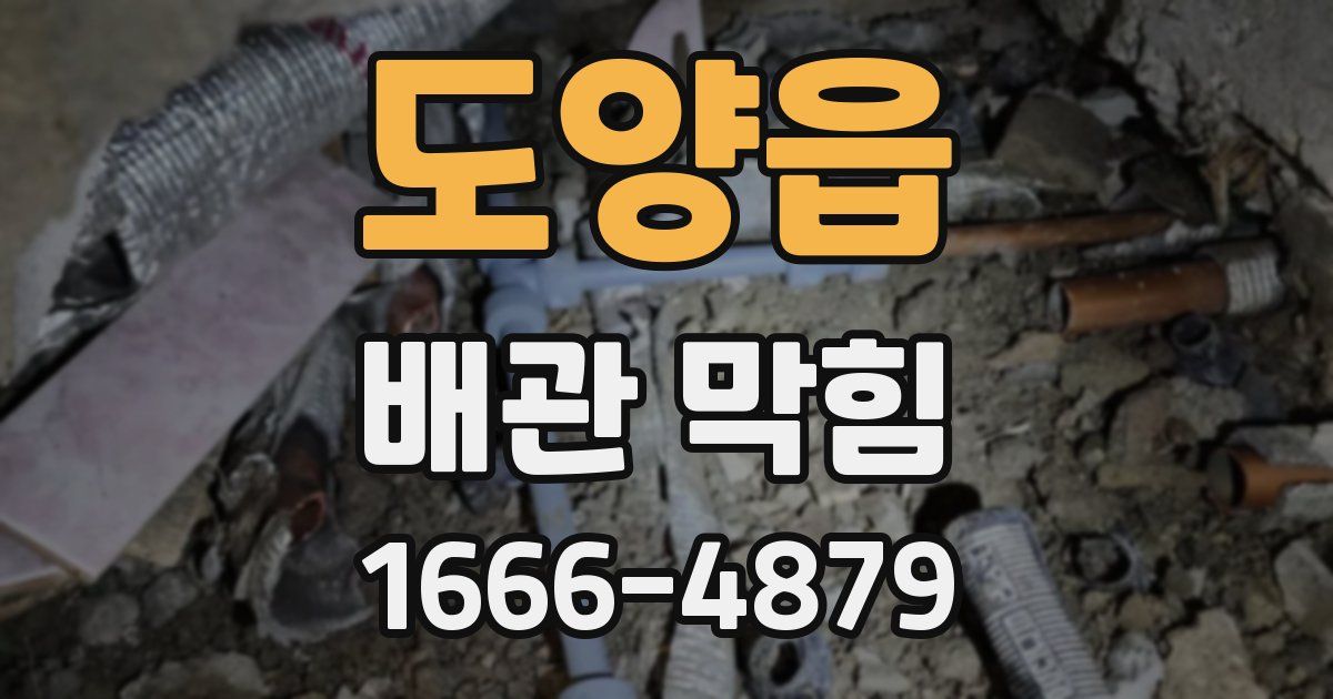 도양읍 배관 막힘