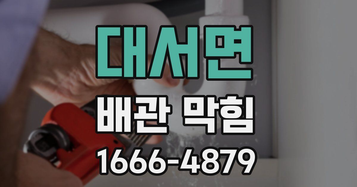 대서면 배관 막힘