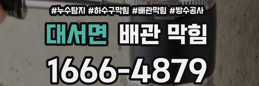 대서면 배관 막힘